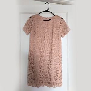 Ann Taylor Blush Lace Shift Dress